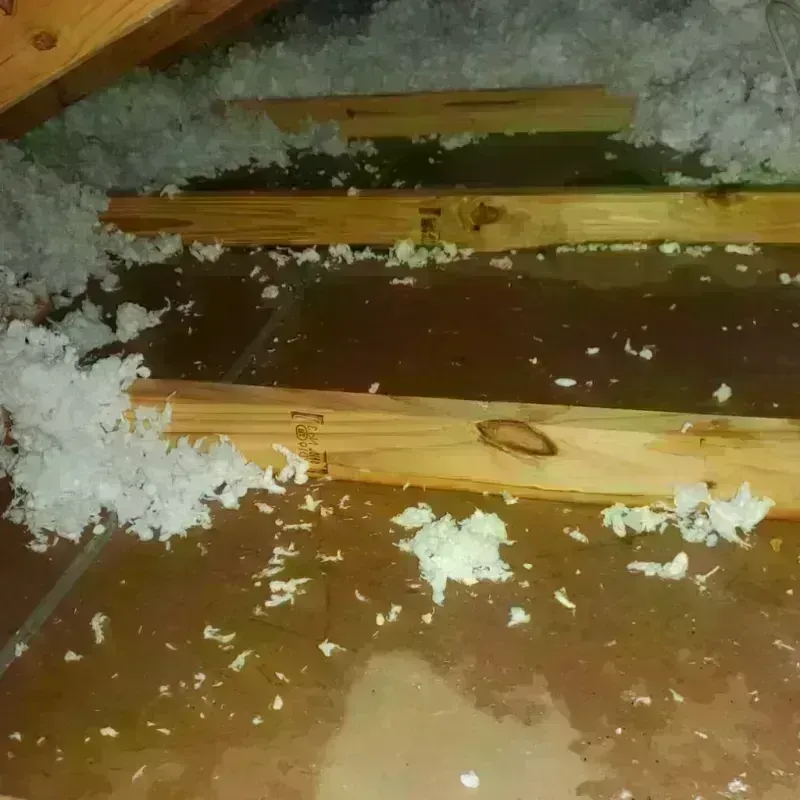 Attic Water Damage in Monroeville, IN